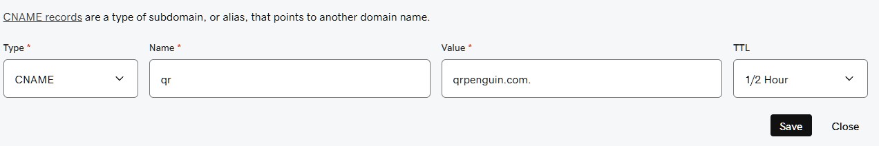 GoDaddy domain setup with CNAME pointing to qrpenguin.com